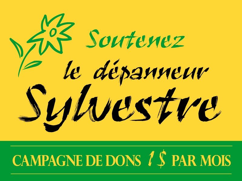 soutien-depanneur-sylvestre